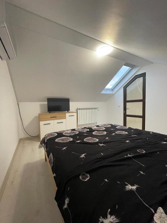 Ferienwohnung Casa Dan Buzau Exterior foto